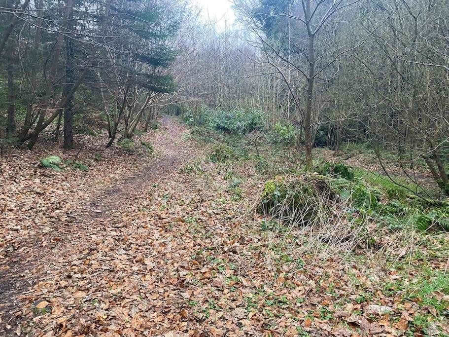 Forest View - Castlewellan, County Down Belfast Kültér fotó