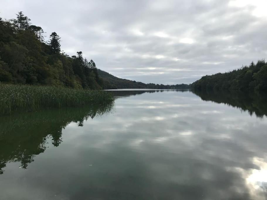 Forest View - Castlewellan, County Down Belfast Kültér fotó