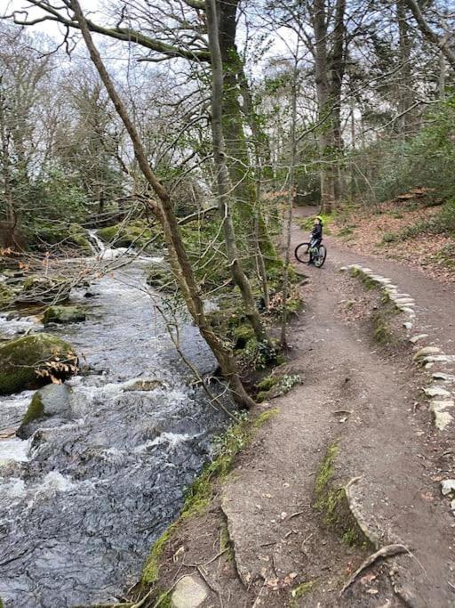 Forest View - Castlewellan, County Down Belfast Kültér fotó