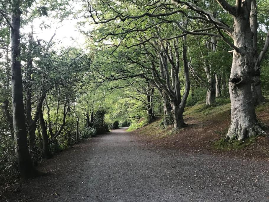 Forest View - Castlewellan, County Down Belfast Kültér fotó