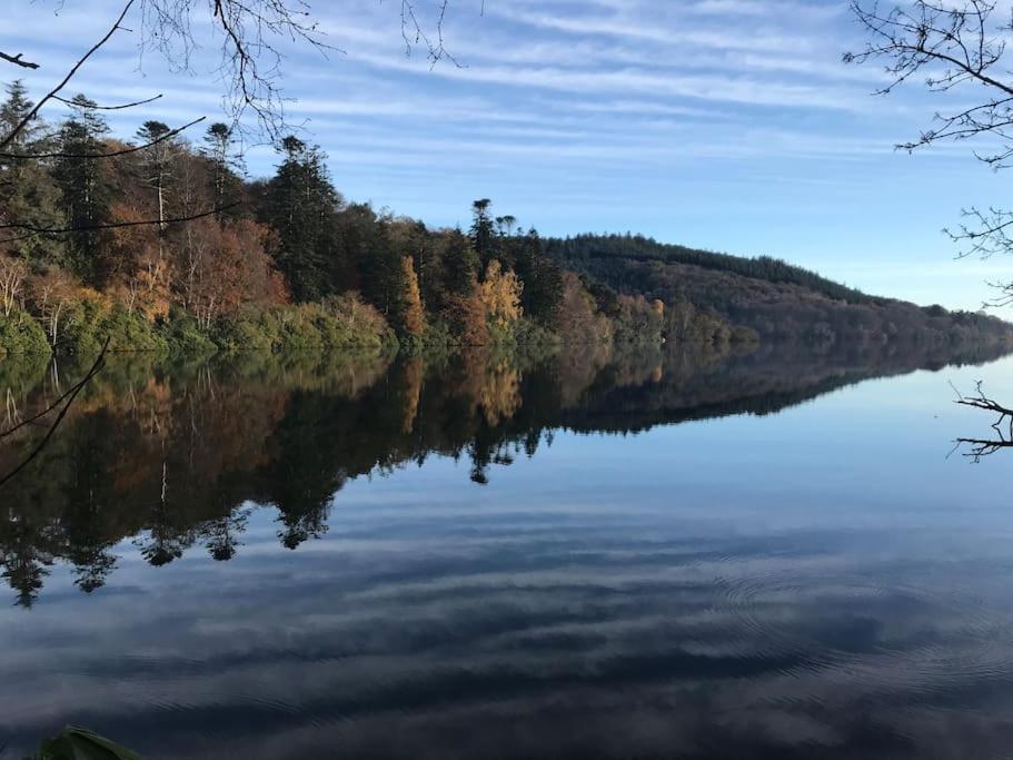Forest View - Castlewellan, County Down Belfast Kültér fotó