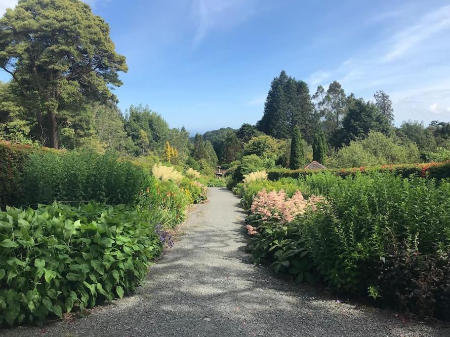 Forest View - Castlewellan, County Down Belfast Kültér fotó