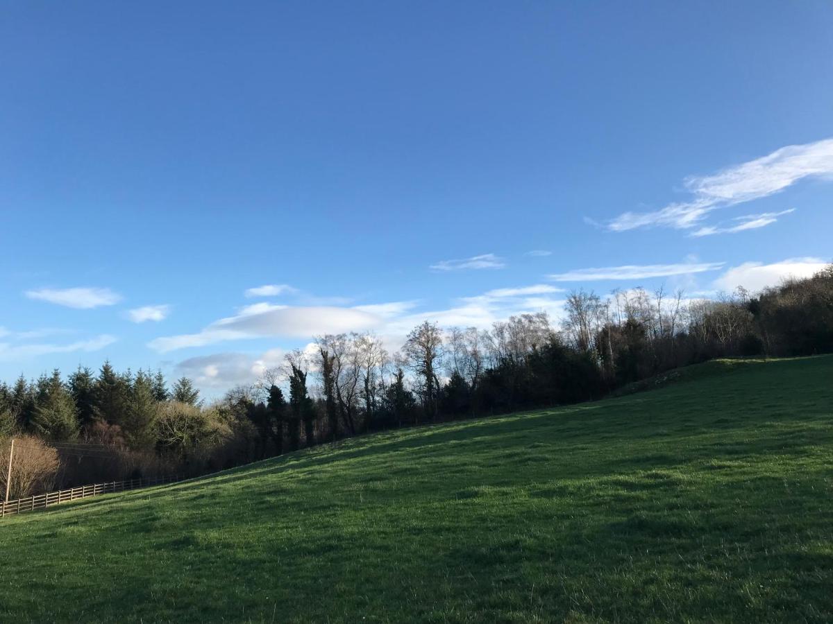 Forest View - Castlewellan, County Down Belfast Kültér fotó